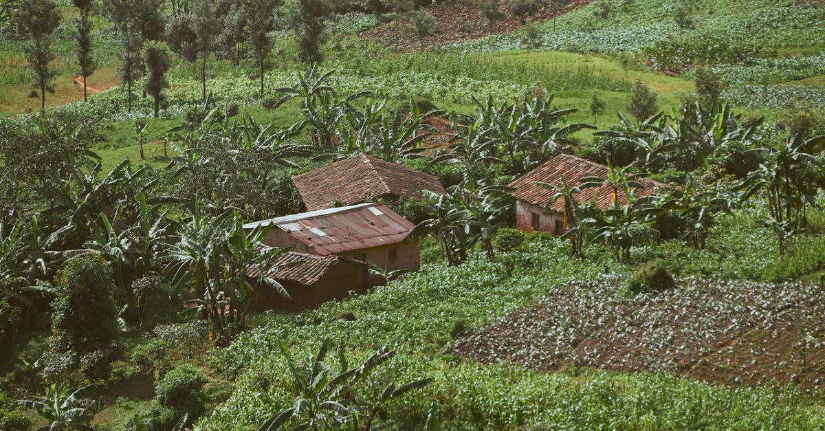 Agri-Business East Africa Pack