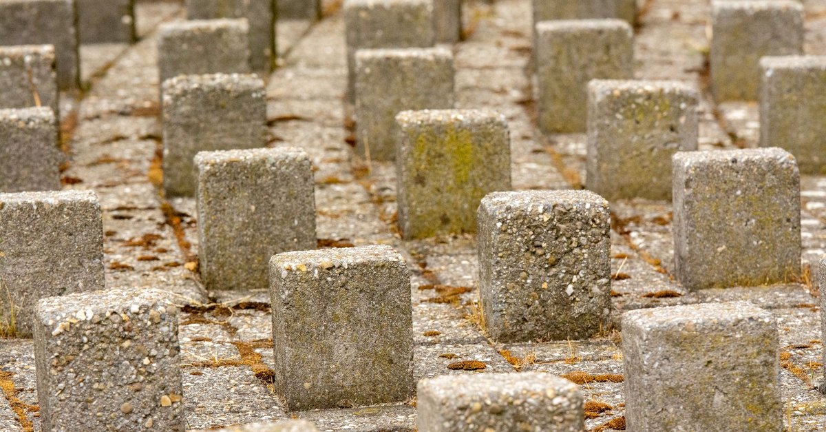 Interlocking Blocks & Low-Cost Building Materials Pack