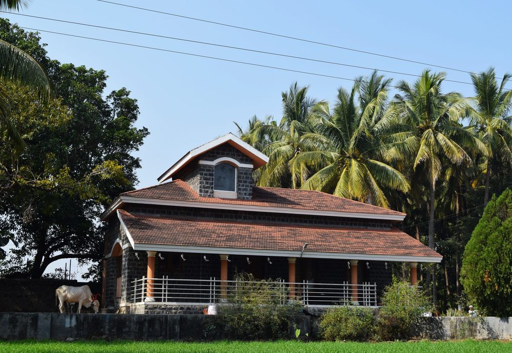 Home with a red roof surrounded by palm trees